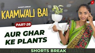 Part 29 - घर के नए Plants  | Kaamwali Bai | #Shorts | Shorts Break