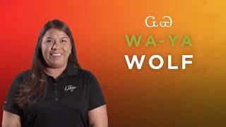 Cherokee Word of the Week: Wolf