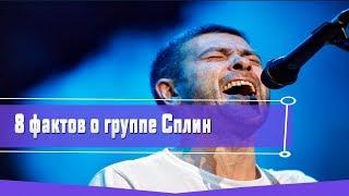 8 ИНТЕРЕСНЫХ ФАКТОВ О ГРУППЕ СПЛИН