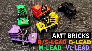 AMT Bricks: R/S, B, Vt, M-lead test