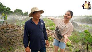 Bất ngờ không nhận ra Khu đất lên vườn trồng cây ở quê Phan Diễm ăn toàn món ngon dân dã Miền Tây