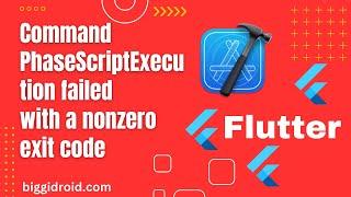 Xcode Command PhaseScriptExecution failed with a nonzero exit code