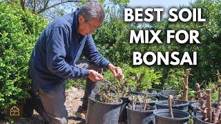 Bonsai Techniques: A Unified Approach to Soil Mix, Watering, and Fertilizing