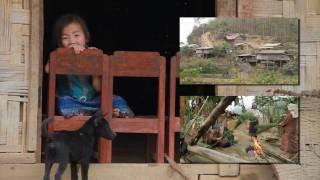 Laos: Voluntourism & Sustainable Travel with Buffalo Tours