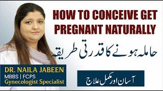 How To get Pregnant Fast Naturally Tips | Hamla Hone Ka Tarika in Urdu | Conceive Naturally