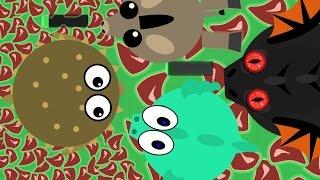 MOPE.IO TROLLING KILLS! AMAZING TROLLS DONKEY & PUFFERFISH / BLACK DRAGON KILLED? (Mope.io Gameplay)