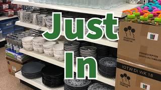 Dollar Tree 2024 | NEW Finds This Week