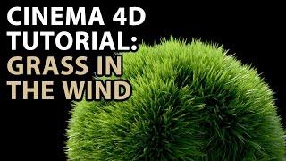 Cinema 4D Tutorial: Grass in the Wind Tutorial