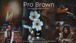 How to Edit Dark Brown Professional Photography Preset | lightroom presets free download