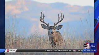 Utah Division of Wildlife Resources proposes new hunting restrictions