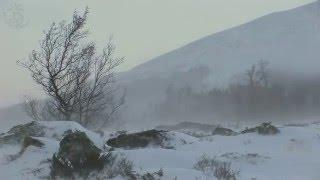  Winter Landscape in the Highlands of Norway with Cold Blowing Storm Sounds for Many Restful Hours