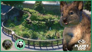 Detailed Quokka Enclosure | Ep. 26 | OakWood Zoo