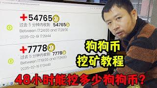 实测旧电脑48小时能挖多少狗狗币？能赚多少钱？