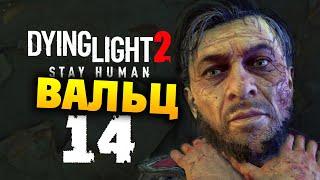 ВАЛЬЦ первая встреча Dying Light 2: Stay Human прохождение на русском - #14