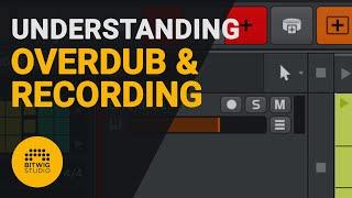 How to use the overdub and recording features on Bitwig tutorial