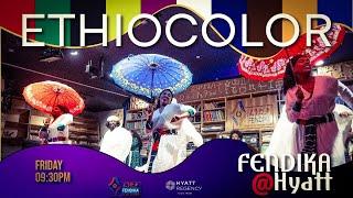 Friday - Cultural Nights || Music Show with EthioColor - Fendika@Hyatt