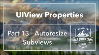 UIView Properties Part 13 - Autoresize Subviews (iOS, Xcode 8)