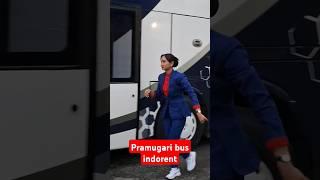 pramugari bus indorent sangat cantik #pramugari #indorent #busmania #cewekcantik #pramugaricantik