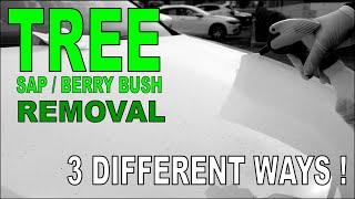 How to remove tree sap from car - three easy methods