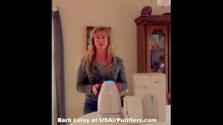 Airfree Lotus: an Airfree Filterless Air Purifier by Barb Lulay at USAirPurifiers.com