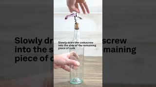 How to Remove a Broken Cork