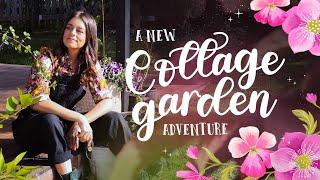 A New Cottage Garden Adventure  Starting Over with an Aussie Dad