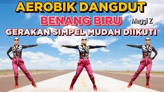 AEROBIC DANGDUT BENANG BIRU (MEGGY Z) | BAKAR LEMAK | GERAKAN SIMPEL MUDAH DIIKUTI |  Irna Chendani