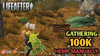 Gathering 100K hemp in LIFEAFTER manually