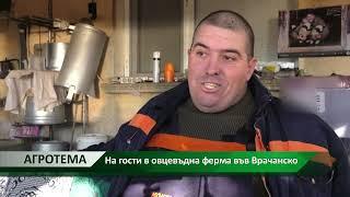 Агротема: На гости в овцевъдна ферма във Врачанско, автори: Мирослава Георгиева, Петя Пенчева