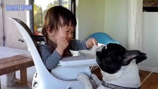 Cutest Relationship French Bulldog And Baby Videos Compilation