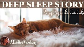 Deep Sleep Story | RAINY DAY AT THE CAT CAFE| Bedtime Story for Grown Ups (rain sounds, asmr)
