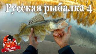 Русская рыбалка 4 В поисках судака на реке Сура