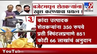 Maharashtra Budget 2024 मधून शेतकऱ्यांना खूश करण्याचा प्रयत्न | tv9 Marathi