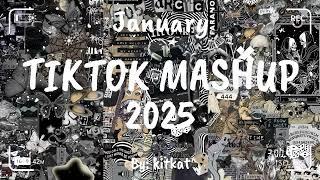 TIKTOK MASHUP JANUARY 2024 (NOT CLEAN) 