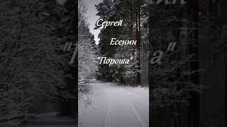 Поэзия под биты Сергей Есенин "Пороша" #лирика #история #стихи Short