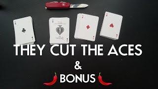 THEY CUT TO THE ACES AND A FAT BONUS PigCake Tutorials