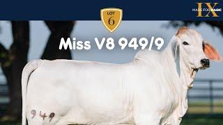 Miss V8 949/9 Brahman Heifer from Made for Magic IX Online Sale