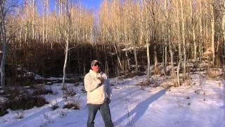 Bigfoot Sighting.Bear Lake, Idaho late 90s Police Officer.