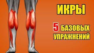 ИКРЫ. 5 базовых упражнений. Техника / Биомеханика - Икроножные мышцы