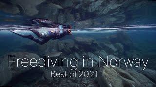 FREEDIVING/SPEARFISHING IN NORWAY - BEST OF 2021