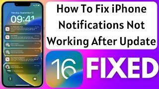 How To Fix iPhone Notifications Not Working After iOS Update