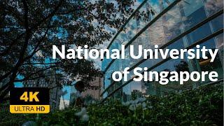 4K UHD Walking Tour - NUS (National University of Singapore) Campus Tour - 新加坡国立大学