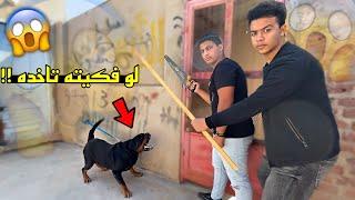 تحدي اللي يفك بوتشر ياخده ( النهاية )!!