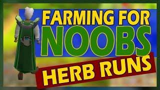 [OSRS] How To Start Doing Herb Runs | Farming For Noobs