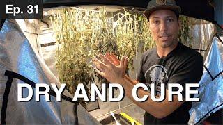 BuildASoil: HOW TO DRY AND CURE 10x10: Episode #31