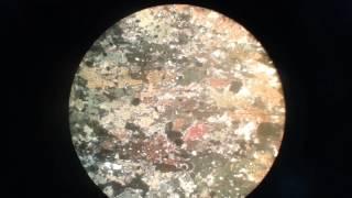 Wavy Extension in Amphibolite - Metamorphic Rocks under Microscope