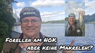 Mit POSE auf MAKRELE -  aber die FORELLEN beißen am NOK