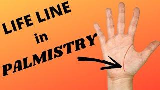 Life Line in Palmistry