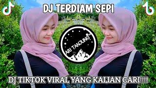 DJ ANDAIKAN WAKTU BISA KU PUTAR KEMBALI || DJ TERDIAM SEPI TIKTOK VIRAL REMIX