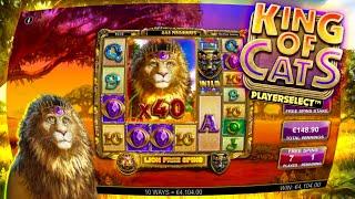  EPIC LION FREE SPINS WIN  King of Cats (Big Time Gaming)